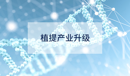 技術(shù)創(chuàng)新如何驅(qū)動